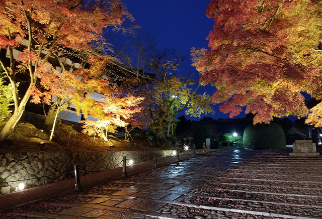 ライトアップ